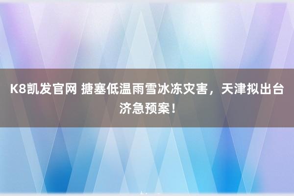 K8凯发官网 搪塞低温雨雪冰冻灾害，天津拟出台济急预案！