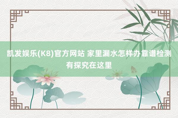 凯发娱乐(K8)官方网站 家里漏水怎样办靠谱检测有探究在这里