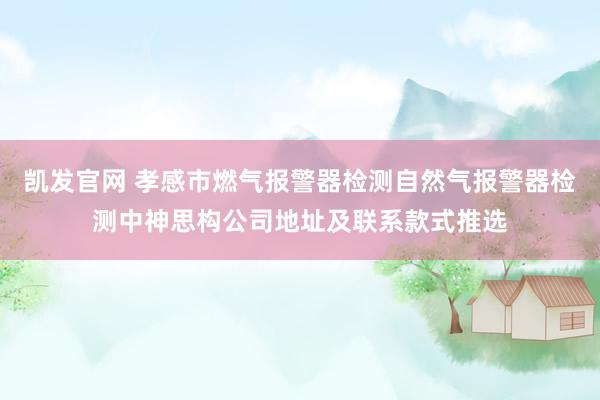凯发官网 孝感市燃气报警器检测自然气报警器检测中神思构公司地址及联系款式推选