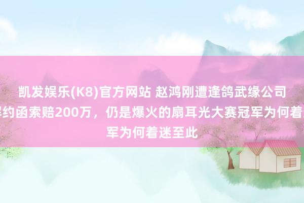凯发娱乐(K8)官方网站 赵鸿刚遭逢鸽武缘公司一纸解约函索赔200万，仍是爆火的扇耳光大赛冠军为何着迷至此