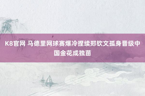 K8官网 马德里网球赛爆冷捏续郑钦文孤身晋级中国金花成独苗