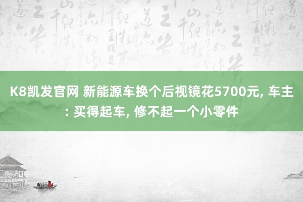 K8凯发官网 新能源车换个后视镜花5700元, 车主: 买得起车, 修不起一个小零件