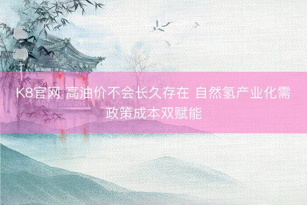 K8官网 高油价不会长久存在 自然氢产业化需政策成本双赋能