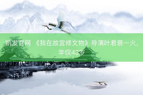凯发官网 《我在故宫修文物》导演叶君衰一火，年仅43岁