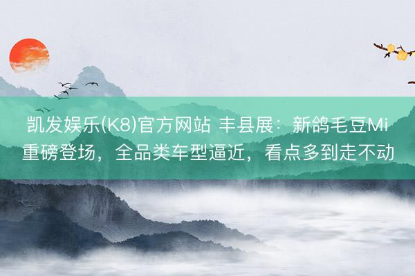 凯发娱乐(K8)官方网站 丰县展：新鸽毛豆Mi重磅登场，全品类车型逼近，看点多到走不动